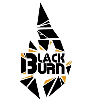 Dubai Shisha rental with flavor Black Burn 200g Lemon Shock