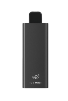Disposable Vape HQD 6000 Ice Mint